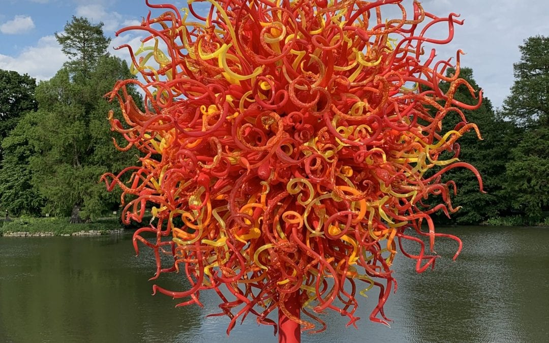 Dale Chihuly – Reflections on Nature Exhibition